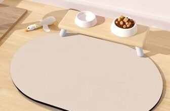 Tapis d’alimentation pour chien : utilité réelle et points à vérifier
