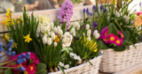 Concours du Printemps : Gagnez  100$ de fleurs