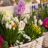 Concours TOYOTA : Gagnez 1 ensemble complet pour le ménage du printemps