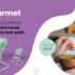 Concours SAIL : Gagnez 1 ensemble de camping The North Face