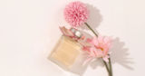 Concours : Gagnez 1 des 6 fragrances exceptionnelles